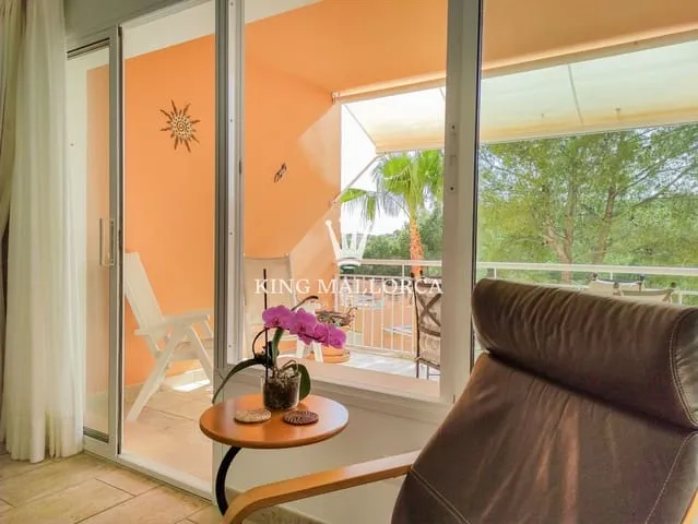 Apartment for rent in Peguera / Paguera, Calvià — photo 6