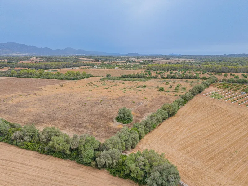 Rustic plot of 31,662 m² in Sencelles — photo 6