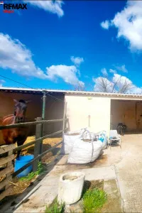Rustic property - Manacor — photo 11