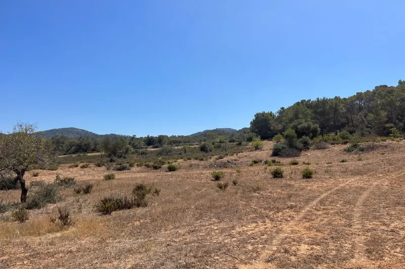 Building plot near Es Carritxó with views and approved finca project — photo 3