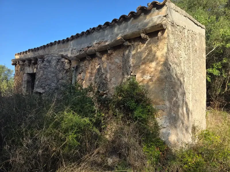 Rustic estate in Costitx — photo 2