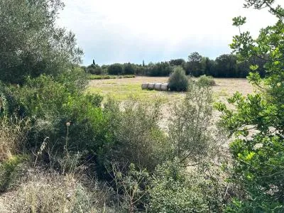 Rural Land - Sineu, Plot Surface 21,300 m² — photo 1
