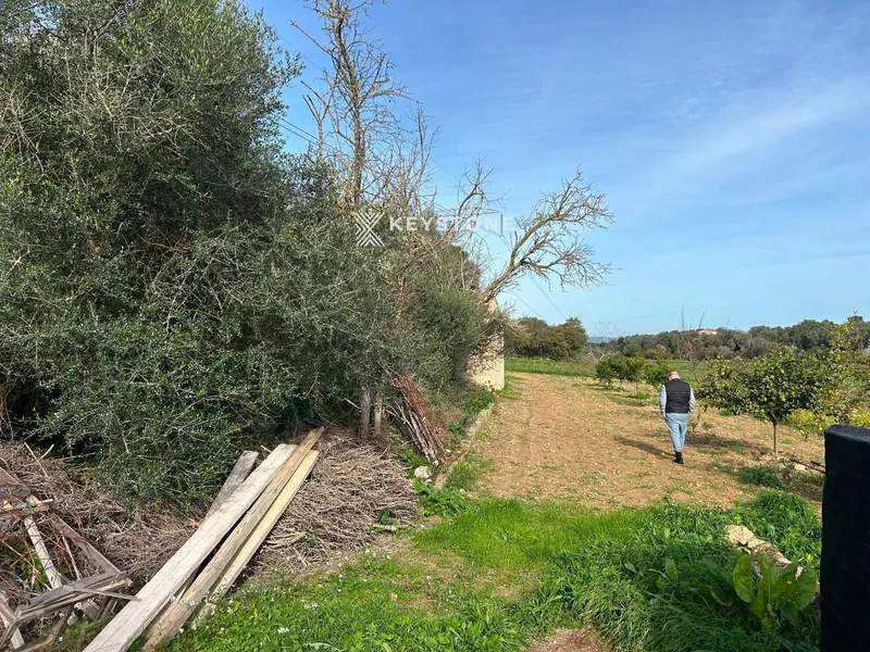 Plot — photo 5