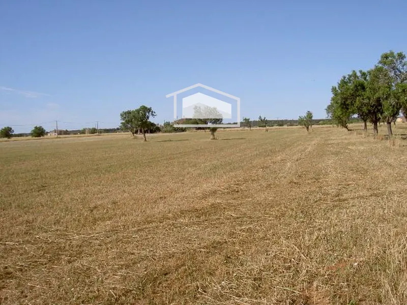 Rustic plot with urban planning certificate next to Es Trenc with hut to renovate — photo 4