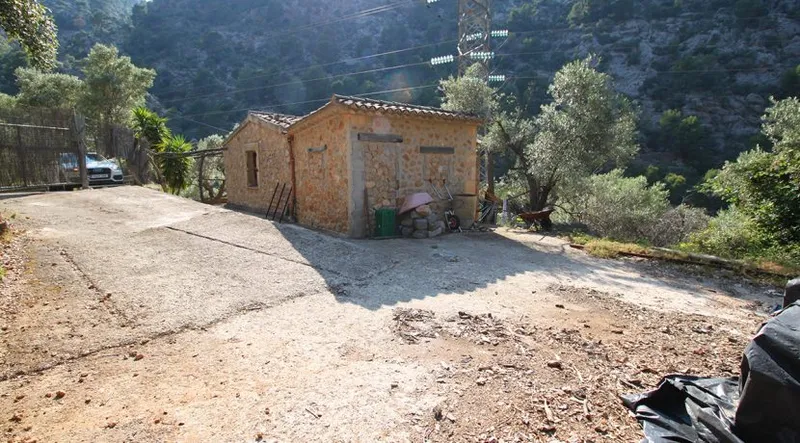 Olive grove in quiet area with semi-renovated little house — photo 7