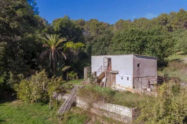 Country plot for sale ideal for building a family home in Moscari, Mallorca — photo 6