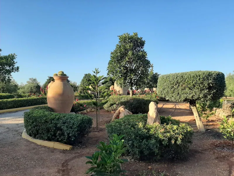 Exclusive property in Sencelles - plot with olive grove and tourist license ETV — photo 2