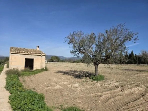 Plot with small house — photo 1