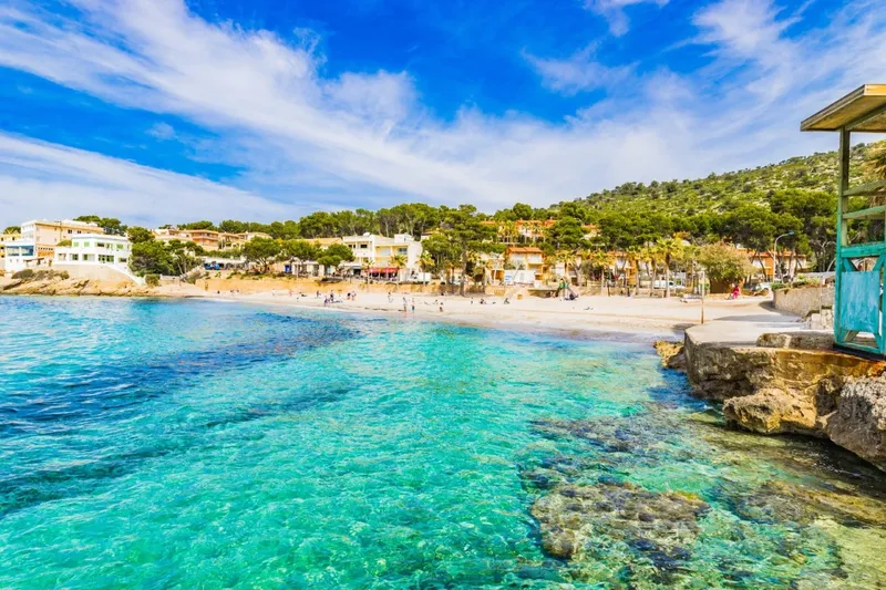 Mallorca Next Properties - Plot with panoramic views of Port Andratx — photo 5
