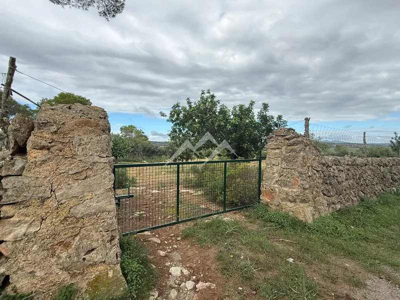 Plot of 41,670 m² with project for house with pool in Manacor — photo 9