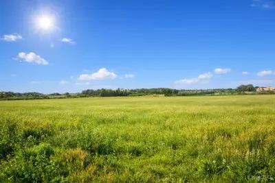 Rustic land in Manacor — photo 1