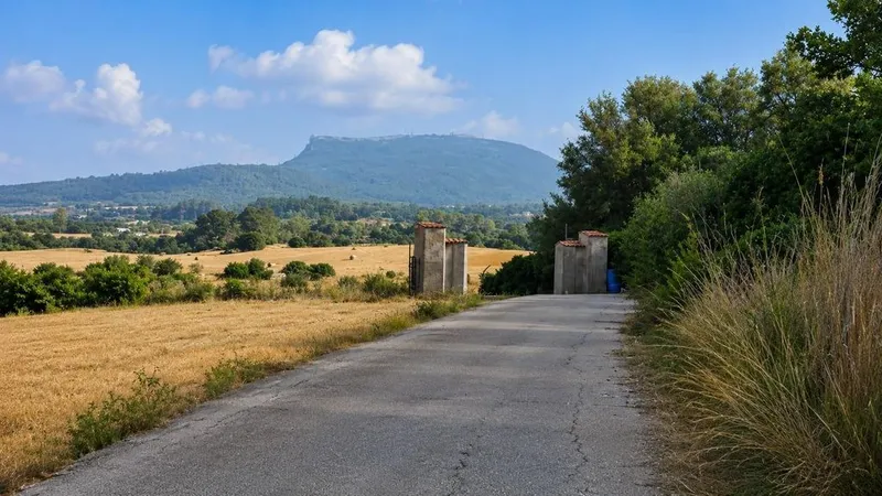 Land in Algaida, Province of Balearic Islands — photo 3