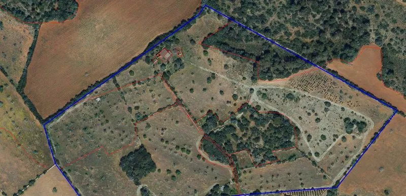 Rustic estate near Cala Pí — 136,400 m², Llucmajor area, 10 min from the coast — photo 4