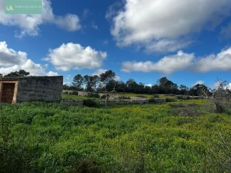 Plot of land - Llubí (Llubi), Plot Surface 14516m² — photo 6