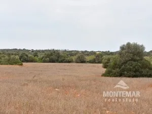 Santanyi - Plot with submitted building project for sale — photo 1