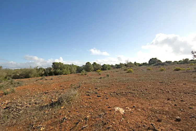 Ses Salines, finca property with building project G02913 — photo 3