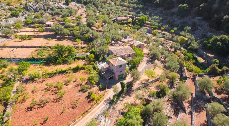 Rustic finca in the heart of the Sierra de Tramuntana — photo 4