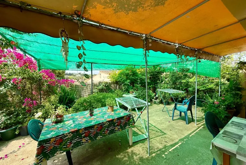 Finca with dwelling, gesa electricity and water in Manacor — photo 6