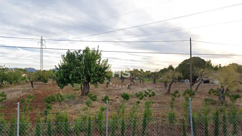 Country plot for sale in Pollença — photo 2