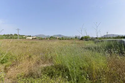 Urban plot in San Lorenzo — photo 1