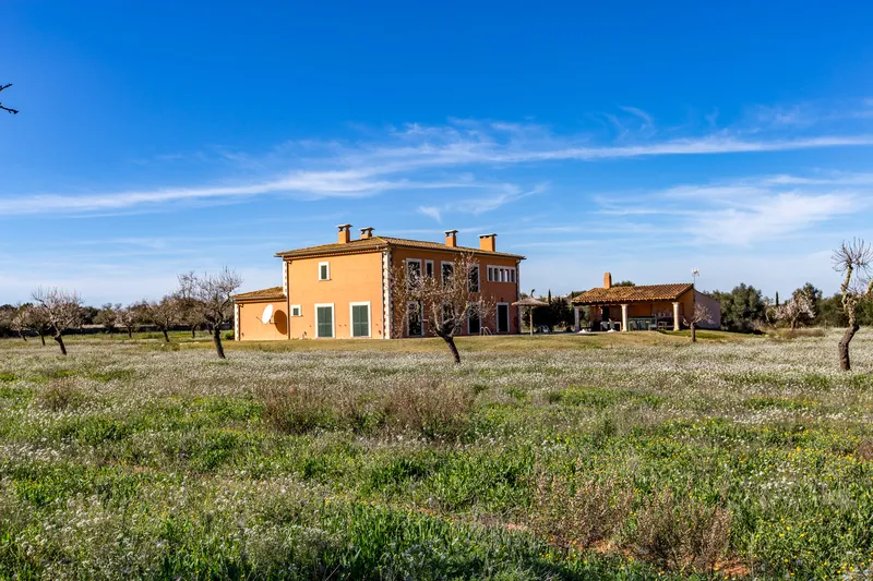 Rustic finca for rent, in a quiet area of Santanyi — photo 2