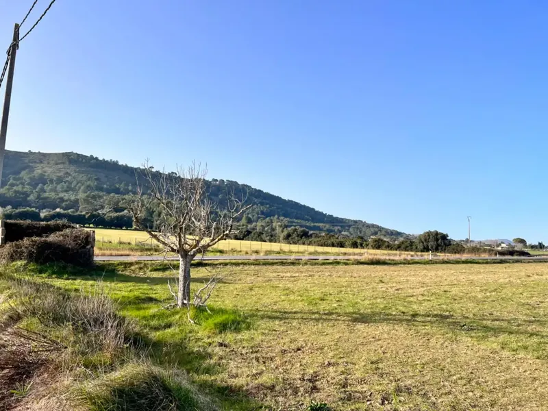 Rustic estate in Alcudia, with an area of approximately 23,000 m2, possibilities to build a detached single-family home and — photo 1