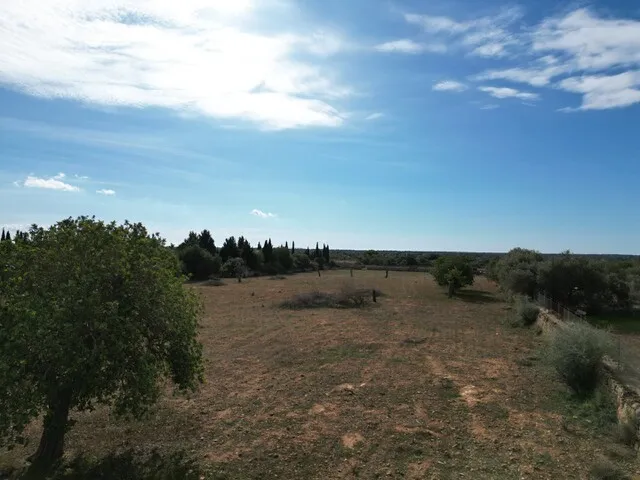 Countryside Plot with License and Project in Llucmajor, South Mallorca — photo 4