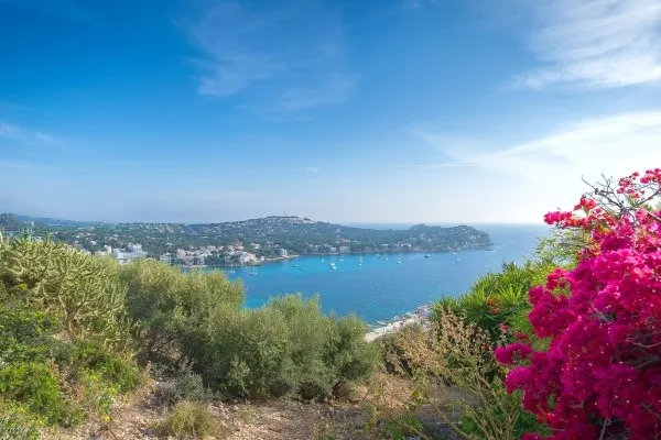 Sea view building plot with licence Mallorca in Calvià / Costa de... — photo 4