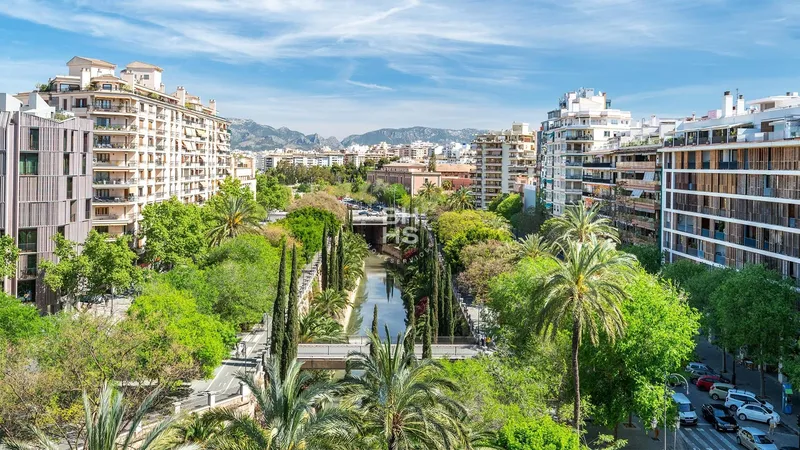 Apartment to rent in Paseo Mallorca — photo 11