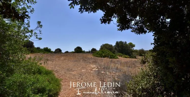 Large Building Plot near Cala D'or — photo 2