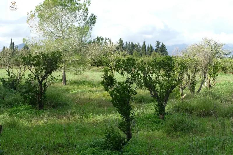 IKV00402-1. Rustic finca in Llubi with very good access, just 3 km from Muro train station and clear views of the mountain. — photo 9
