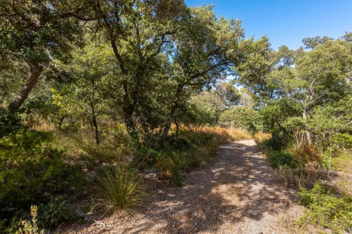 Puigpunyent, a hidden jewel in the heart of the Tramuntana mountains — photo 3