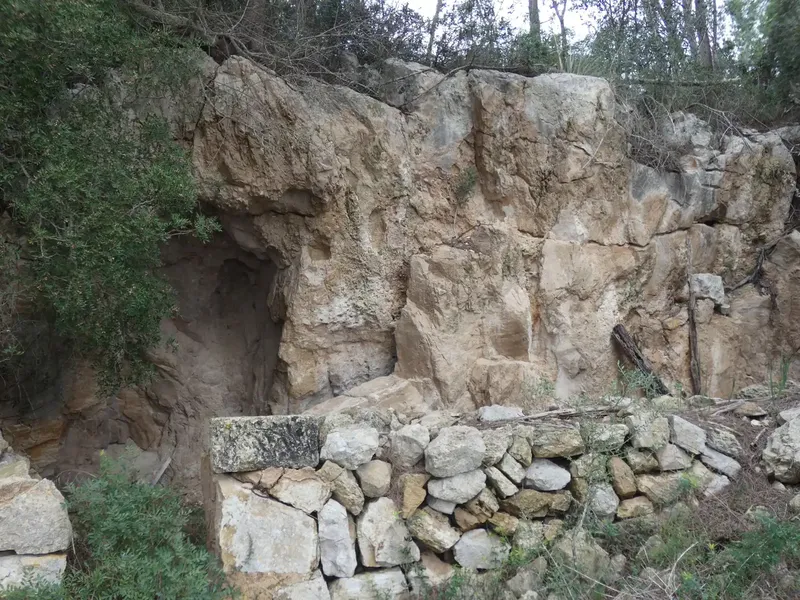 Rustic estate of 25,281 m² for sale with a 99 m² building to renovate, built before 1956 but in good condition — photo 10