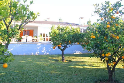 Villa in Bunyola, Mallorca — photo 1
