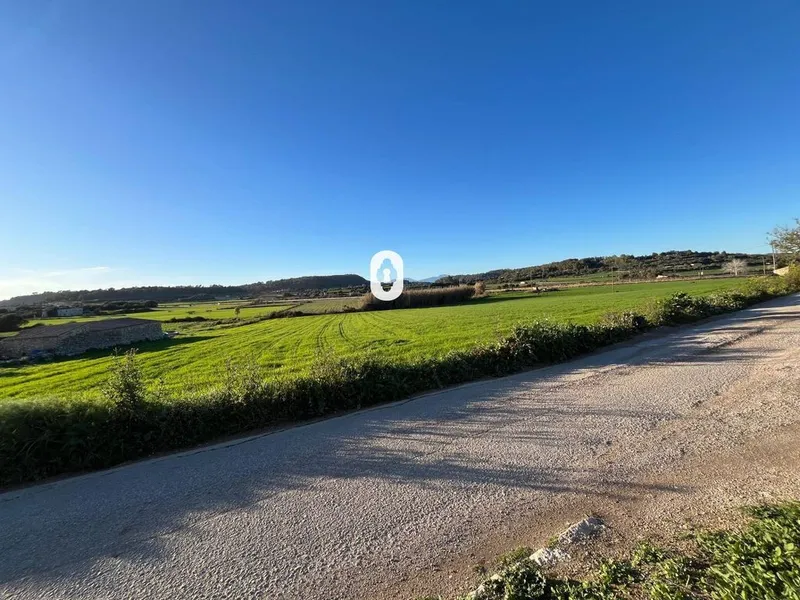 Land in Montuïri, Province of Balearic Islands — photo 5