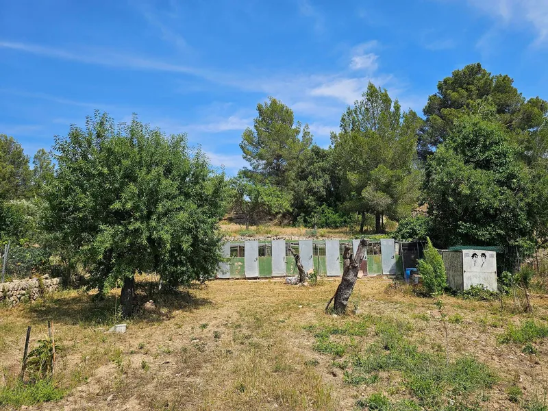 Quiet agricultural property in Calvià - 3,500 m² of nature, privacy and rural charm — photo 8