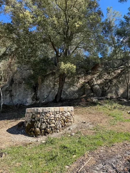 Rustic finca for sale in Selva with unbeatable views of the Serra de Tramuntana mountains — photo 5