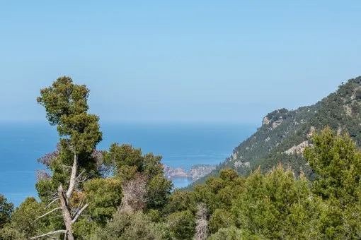 Valldemossa, great finca with fantastic views and privacy, in complete tranquility near Valldemossa — photo 3