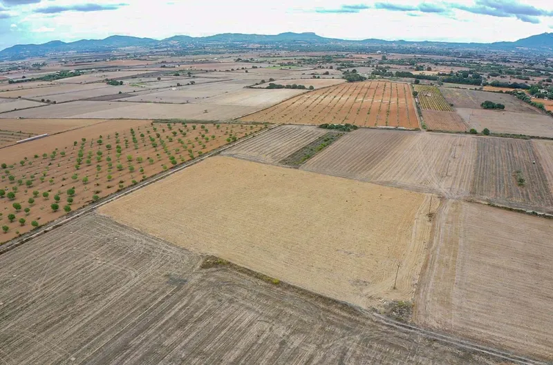 Plot with project in Son Valls — photo 5