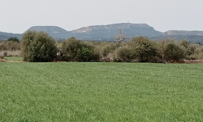 Country Plot in Campos — photo 5