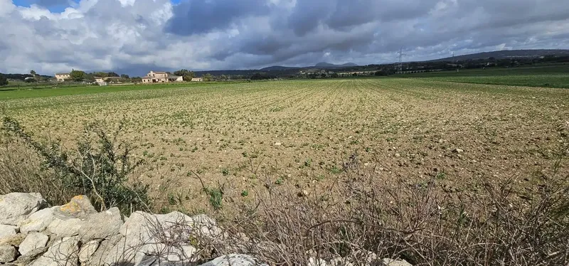 Terreno edificable, casita de unos 28m2, de los cuales el techo de unos 8 metros cuadrados se derribo con el tiempo (posibilidad de reformar — photo 6