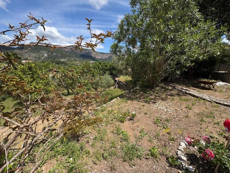 Urban Plot of Land - Puigpunyent (Puigpunyent) — photo 11