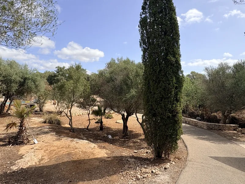 Rustic finca with pool and fountain near Cala Santanyi — photo 8