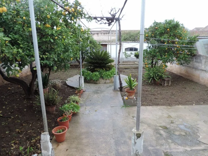 Apartment in Marratxí, Province of Balearic Islands — photo 1