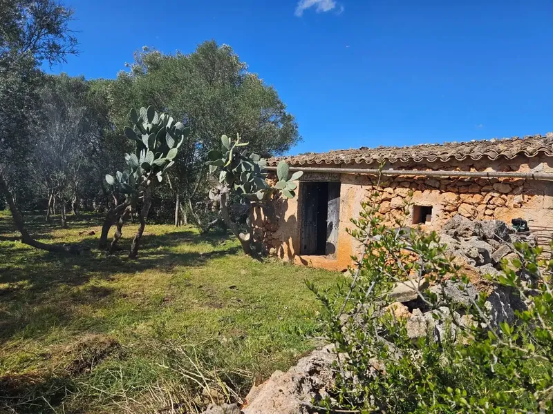 Unique opportunity to acquire a large rustic estate in the tranquil municipality of Costitx, in the heart of Mallorca. — photo 2