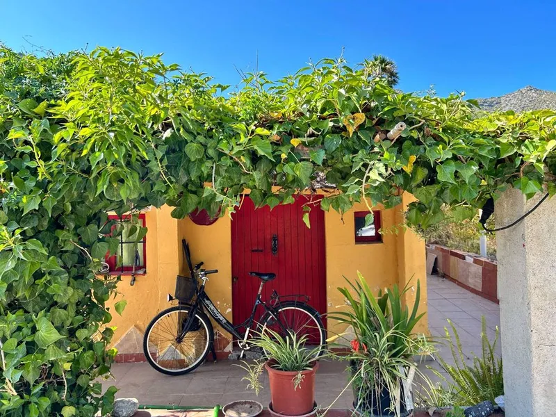 Rural or Farmhouse in Pollença, Province of Balearic Islands — photo 11