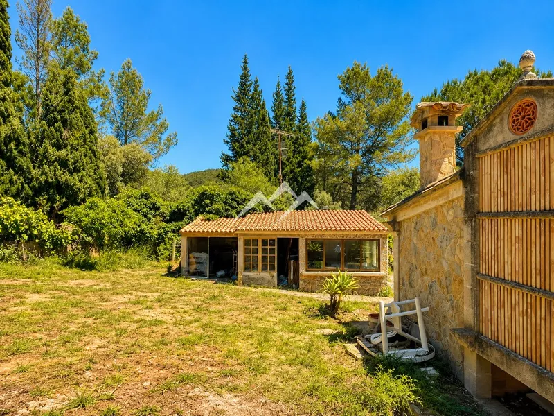 Charming finca just 2 minutes from Puigpunyent — photo 2