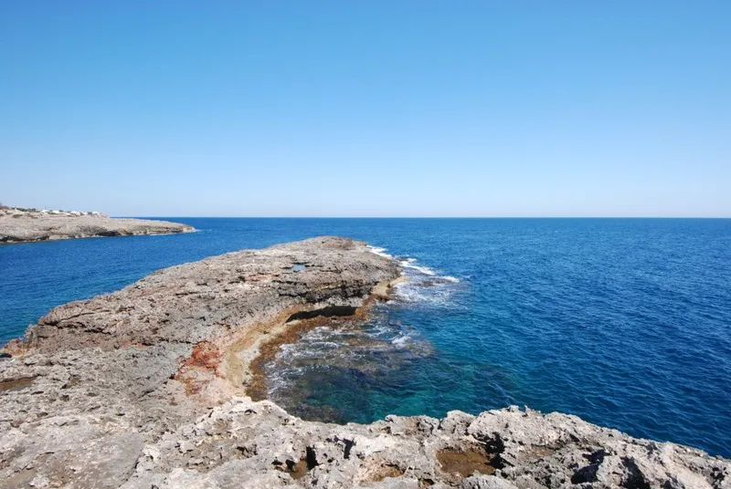 Plot of approximately 1,000m2 on the seafront in Cala D'Or — photo 7