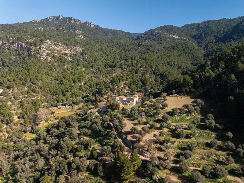 Luxury home in Estellencs, Province of Balearic Islands — photo 11