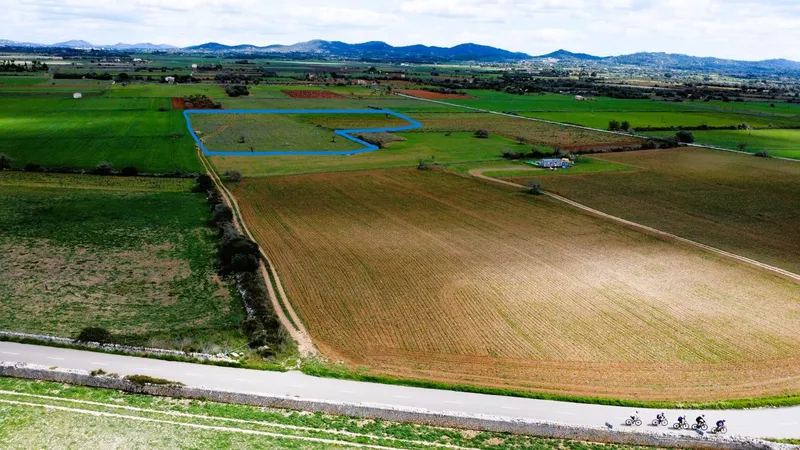 Country Estate for sale in Felanitx of 15713 m2 — photo 7